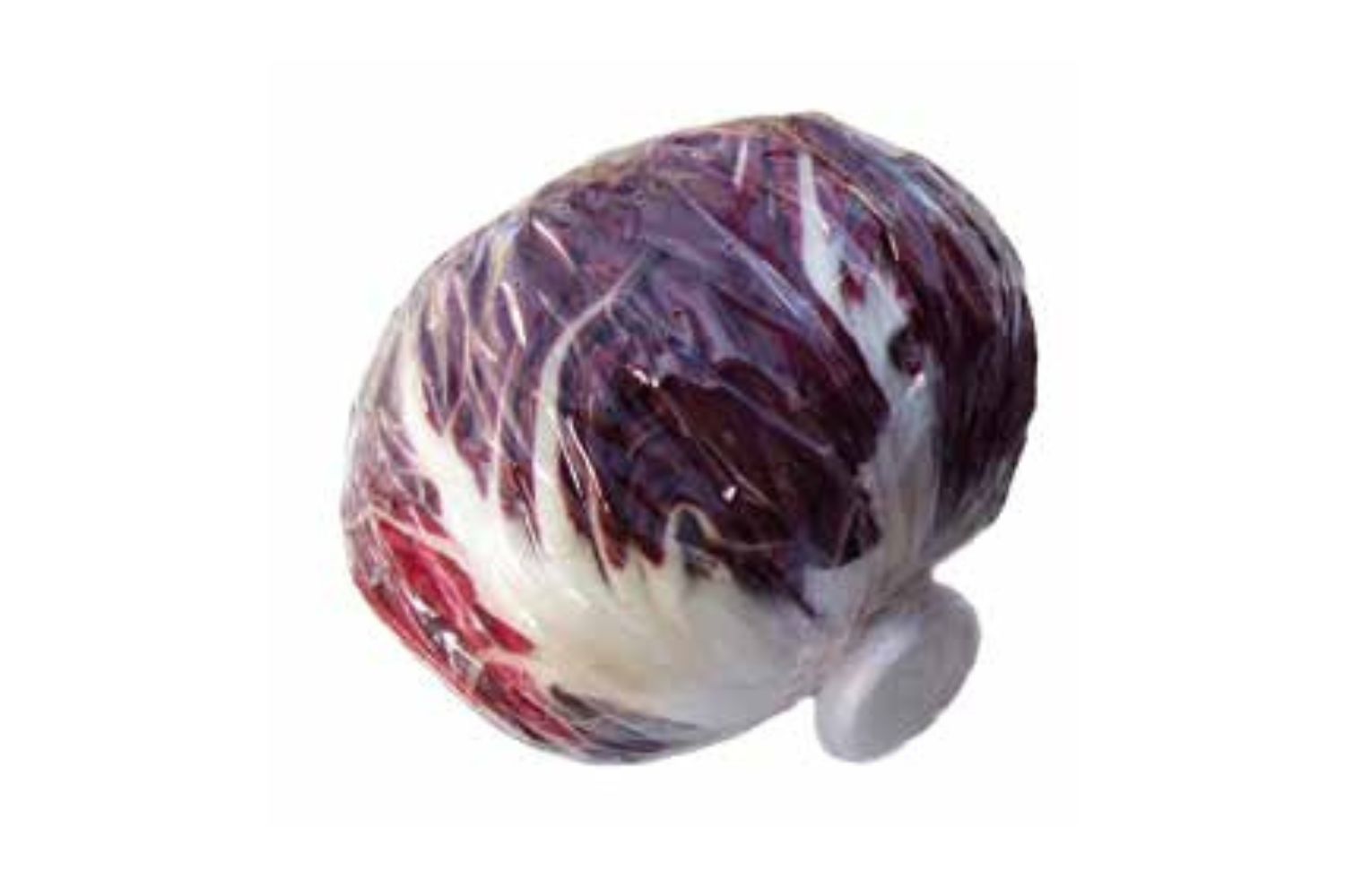 Umhüllte Salatköpfe