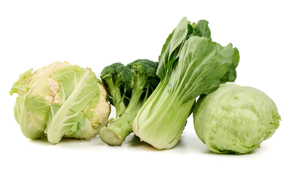 Verpackungsmaschine für Eisberg, Salat und Brokkoli